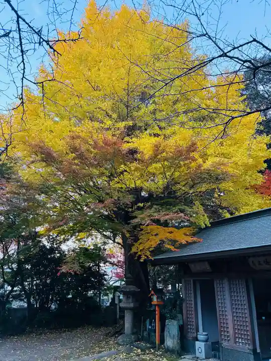 瑞巌寺(徳島県)