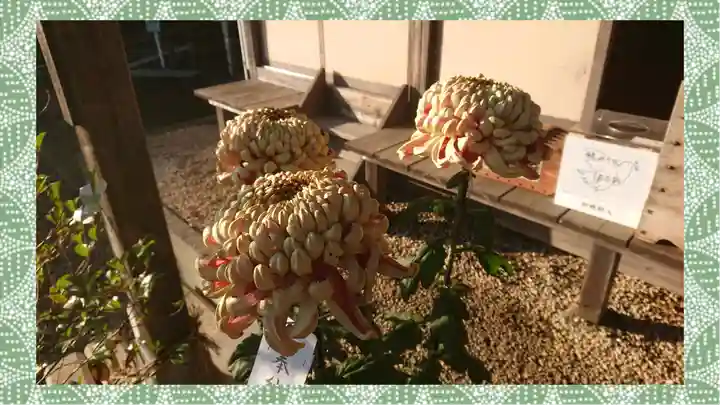 九重神社(埼玉県)