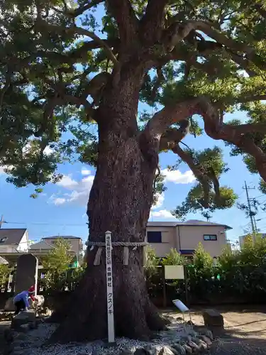 金鑚神社の自然