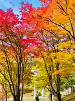 土津神社|こどもと出世の神さま(福島県)