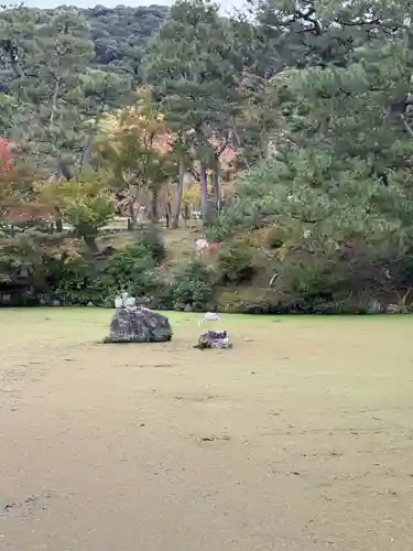 八坂神社(祇園さん)(京都府)