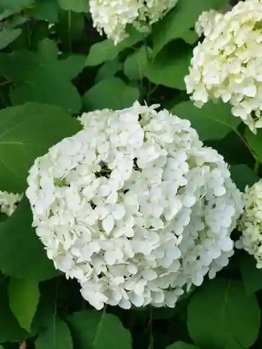 熊野神社(東京都)