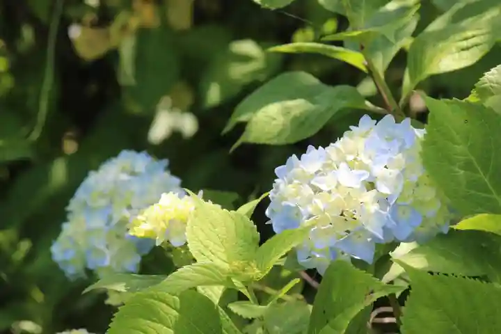 国宝 大法寺(長野県)