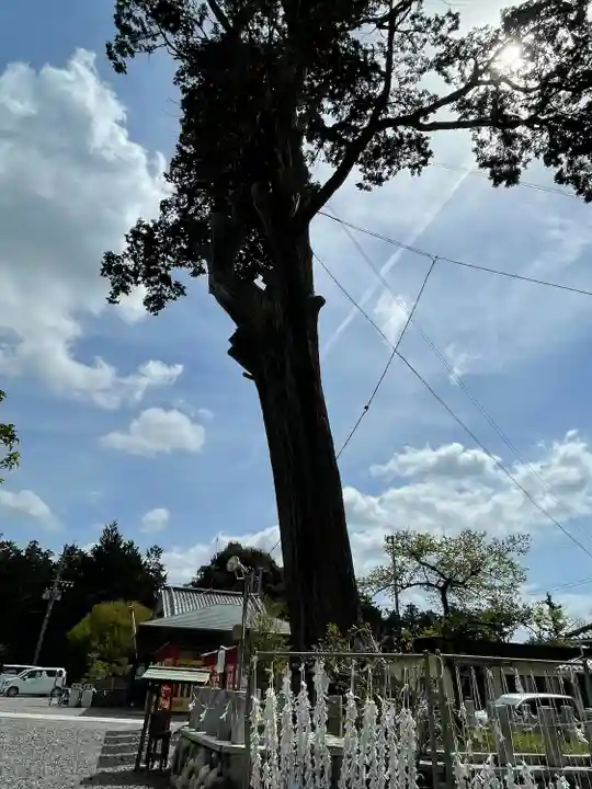 矢奈比賣神社(見付天神)(静岡県)