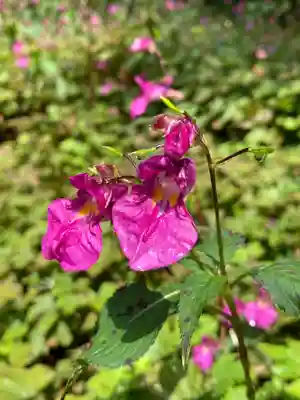 十二山神社(群馬県)