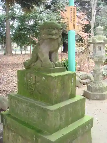 峯ヶ岡八幡神社の狛犬