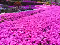 寿量山 速成寺の自然