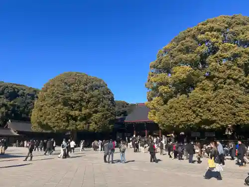 明治神宮(東京都)