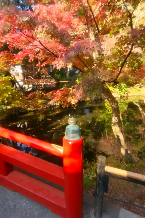 鶴岡八幡宮(神奈川県)