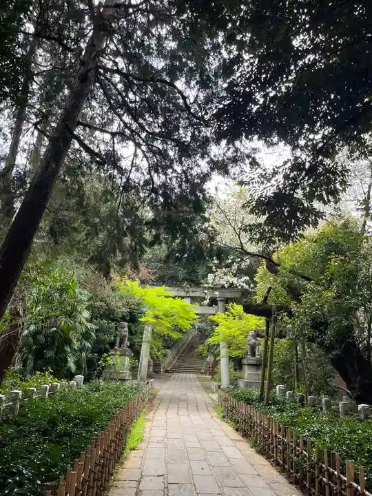 赤坂氷川神社(東京都)
