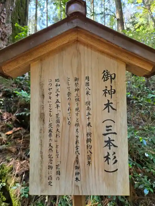 花園神社(茨城県)