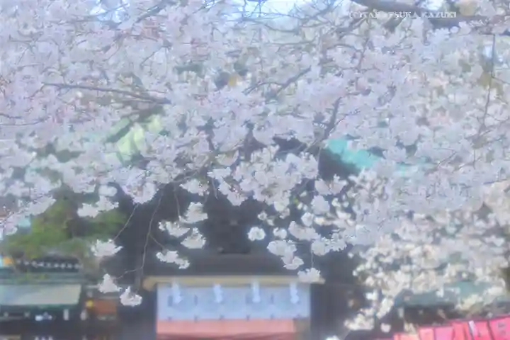 三嶋大社(静岡県)