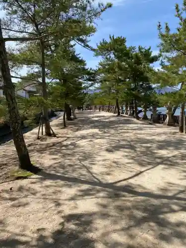 厳島神社の{uncategorized: "未分類", other: "その他", undefined: "問題あり", building: "その他建物", grave: "お墓", sacred_gate: "鳥居", guardian: "狛犬", statue: "像", buddha: "仏像", history: "歴史", nature: "自然", garden: "庭園", animal: "動物", pagoda: "塔", temizu: "手水舎", mountain_gate: "山門・神門", sanctuary: "本殿・本堂", subordinate: "末社・摂社", art: "芸術", scenery: "景色", jizo: "地蔵", ema: "絵馬", goshuin: "御朱印", omikuji: "おみくじ", items: "授与品その他", amulet: "お守り", goshuincho: "御朱印帳", eats: "食事", festival: "お祭り", votive_dance: "神楽", shichigosan: "七五三参", wedding: "結婚式", experience: "体験その他", initially: "初詣", around: "周辺", anti_infection: "感染症対策"}