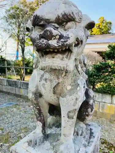 白山神社の狛犬