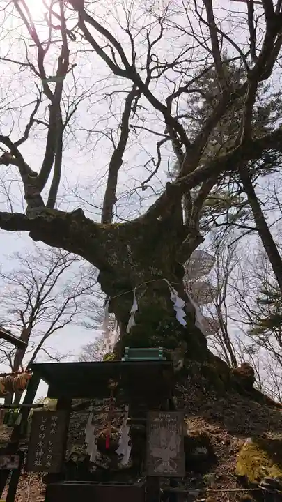 熊野皇大神社の自然