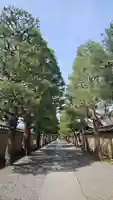 大徳寺(京都府)