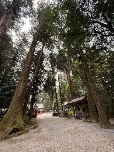 伊和神社の{uncategorized: "未分類", other: "その他", undefined: "問題あり", building: "その他建物", grave: "お墓", sacred_gate: "鳥居", guardian: "狛犬", statue: "像", buddha: "仏像", history: "歴史", nature: "自然", garden: "庭園", animal: "動物", pagoda: "塔", temizu: "手水舎", mountain_gate: "山門・神門", sanctuary: "本殿・本堂", subordinate: "末社・摂社", art: "芸術", scenery: "景色", jizo: "地蔵", ema: "絵馬", goshuin: "御朱印", omikuji: "おみくじ", items: "授与品その他", amulet: "お守り", goshuincho: "御朱印帳", eats: "食事", festival: "お祭り", votive_dance: "神楽", shichigosan: "七五三参", wedding: "結婚式", experience: "体験その他", initially: "初詣", around: "周辺", anti_infection: "感染症対策"}