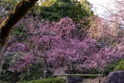 平安神宮(京都府)