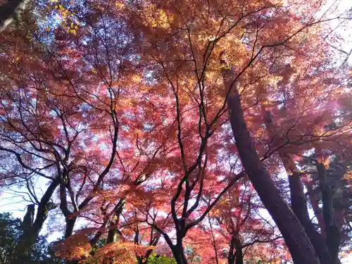 妙法寺(福井県)