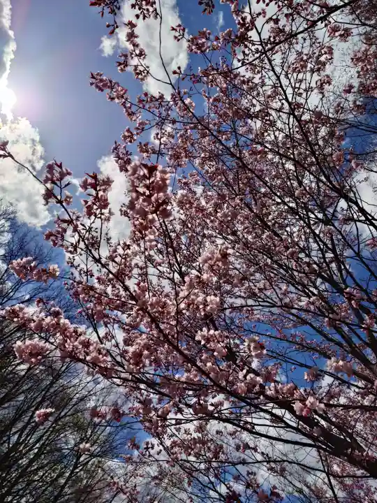 相馬神社(北海道)