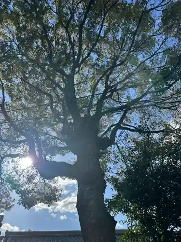 崇道天皇社(奈良県)