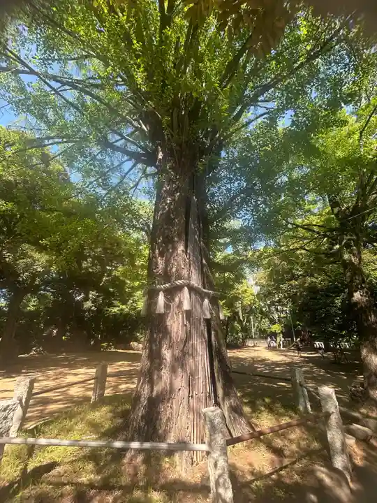 日枝神社(東京都)