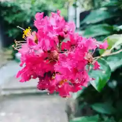 豊景神社の自然