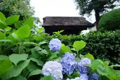 極楽寺（霊鷲山感應院極楽律寺）の山門