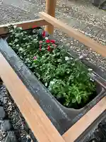 上目黒氷川神社(東京都)
