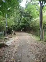 山田神社の建物その他