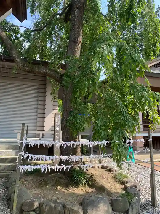開成山大神宮(福島県)