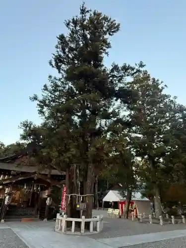 建部大社(滋賀県)