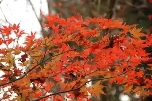 東行庵(山口県)