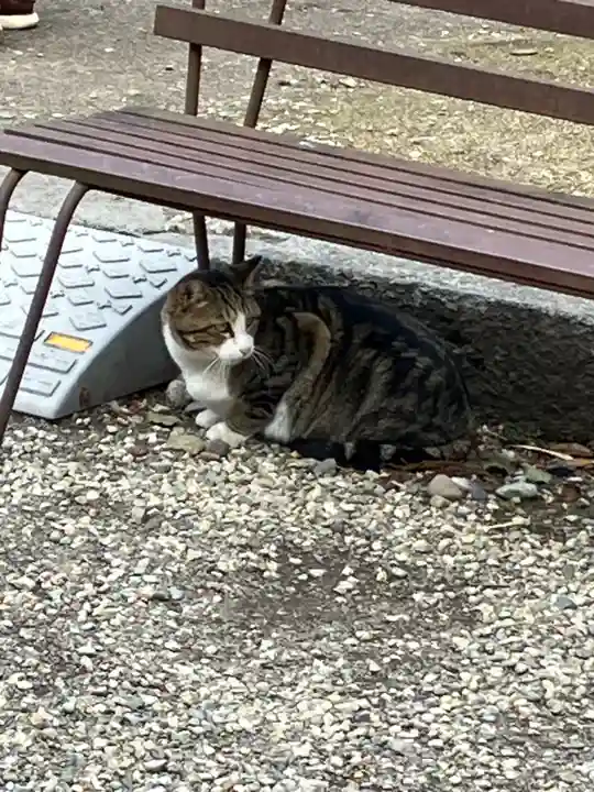 今市報徳二宮神社(栃木県)