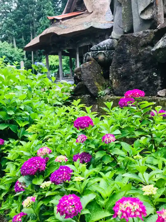 幸徳院笹野寺の自然