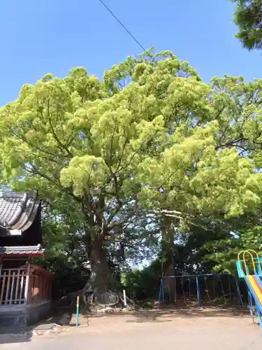 高橋西神社(熊本県)
