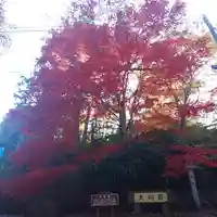 唐澤山神社の自然