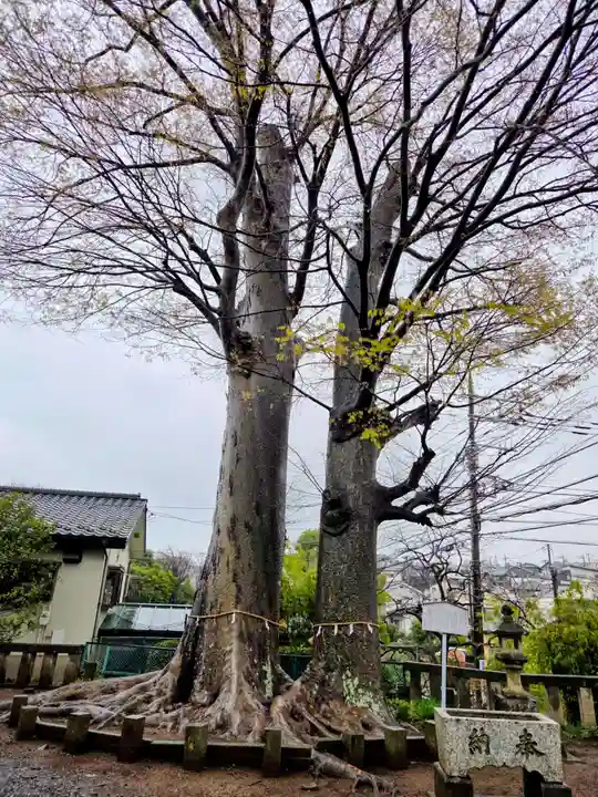 春日神社(東京都)