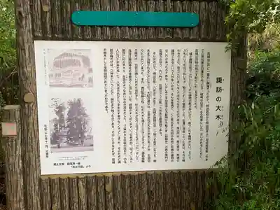 忍　諏訪神社・東照宮　(埼玉県)