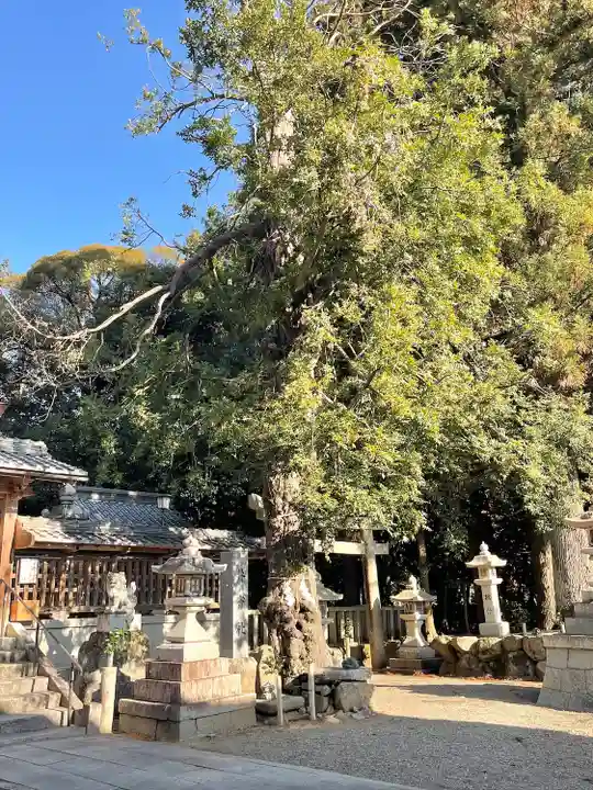 八幡神社(滋賀県)
