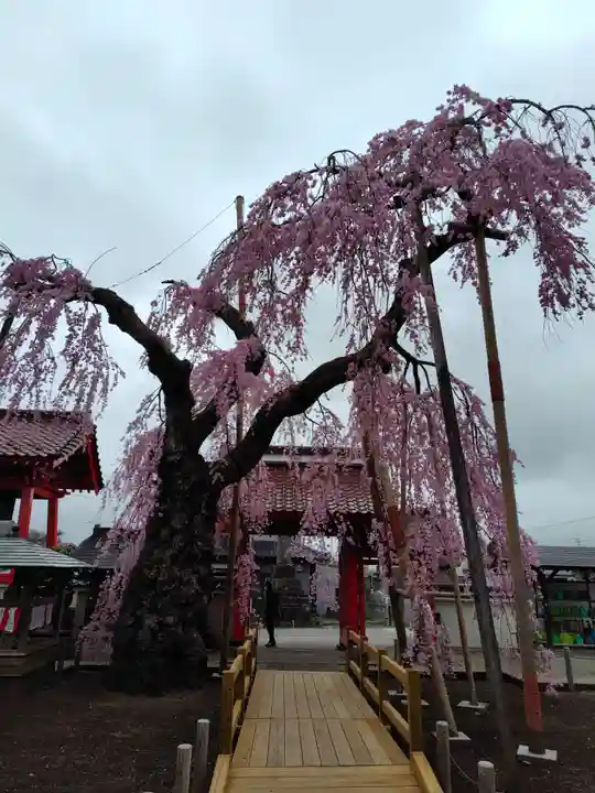 妙関寺(福島県)