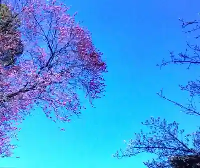 田端神社(東京都)