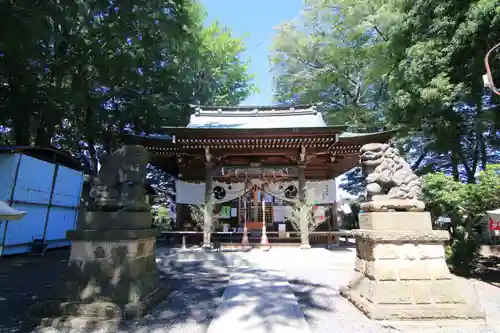 熊野福藏神社の狛犬