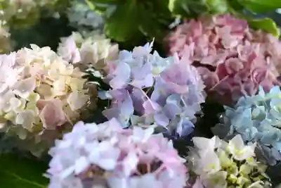 三津厳島神社の手水舎