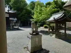 新屋坐天照御魂神社(大阪府)