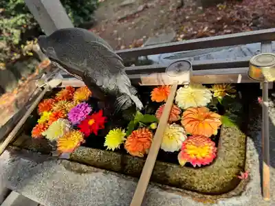神炊館神社 ⁂奥州須賀川総鎮守⁂(福島県)