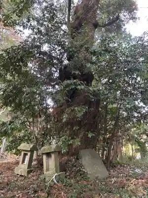 木内大神(千葉県)