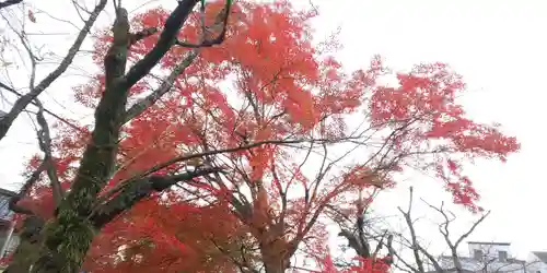 建勲神社の自然