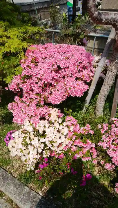 浄國寺(浄国寺)の自然