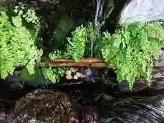 馬橋稲荷神社の手水